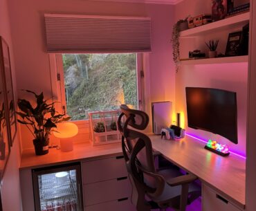 Back at it with some updates. And yes, the plant in the corner will get a proper pot, lol 😂