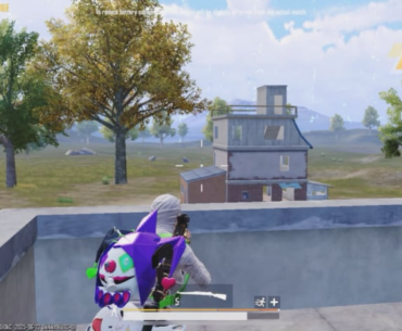 Some Snipes
