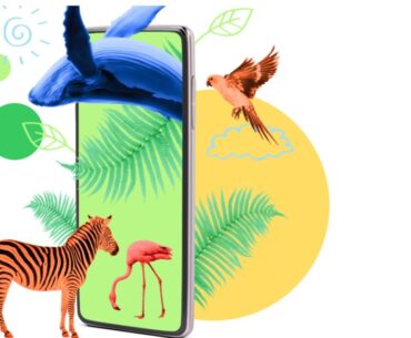 Dots.eco is a platform for real-world environmental rewards in games