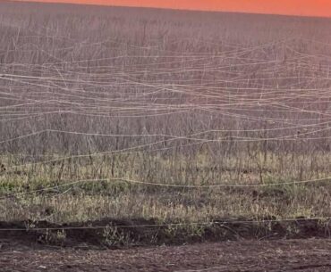 Ukraine has started to grow fiber optic cables on a mass scale
