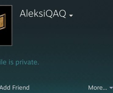 AleksiB changes his steam username as a nod to EmiliaQAQ
