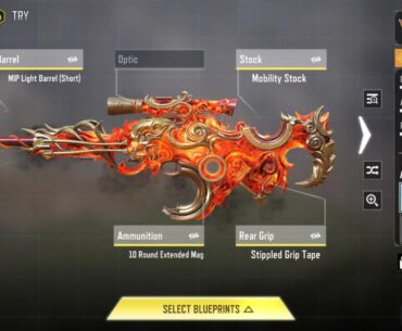 What's one gun you absolutely hated until you got a specific blueprint for it?
