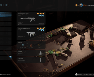What guns do you think are worth using outside of these?