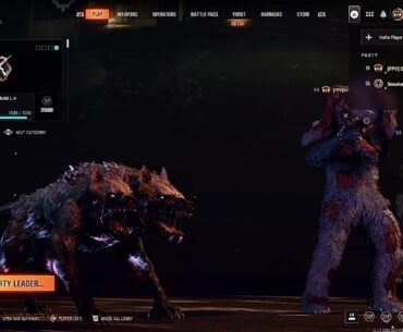 So not sure whose dog this is but seems friendly.