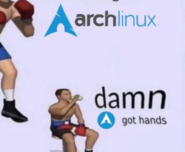 My experience going from windows to Arch (no linux experience other than steamos)