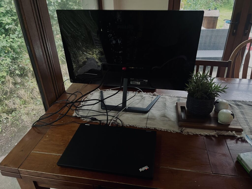 THINKPAD Rats Nest 💪 (It struggles to get 30 FPS in GTA IV)