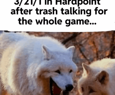 What type of teammate is the most annoying?