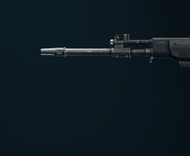 Why is skins Greyed out?