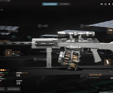 INSANE RPK BUILD that makes it a SNIPER RIFLE