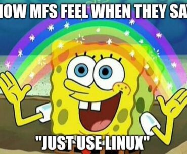 "Just use linux bro"