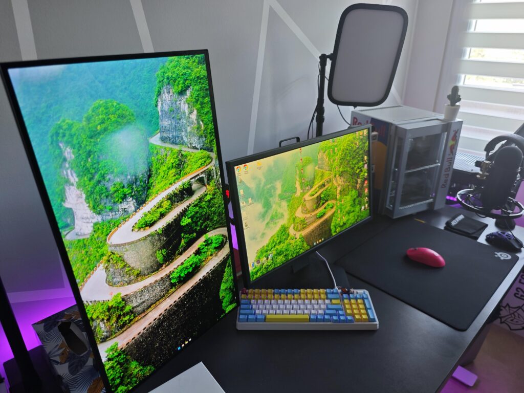 My friend has an OLED as a second monitor