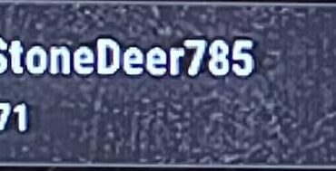 Team killer