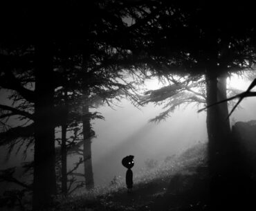 I took this picture of a forest at night and it reminded me of Limbo, so I added him