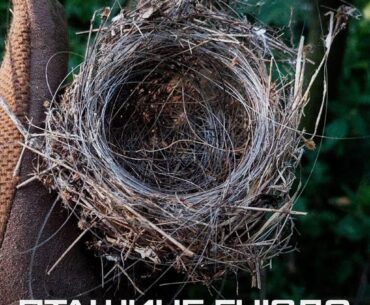 Photo of a bird's nest made of fiber optic cable left by FPV drones in the Ukrainian war zone (2025)