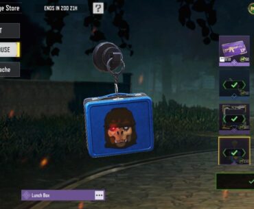 Excluding the names and rarity, what is the difference between this Epic Lunch Box Charm from this season and this Rare Collectible Tin Charm? I see no visual difference to distinguish between the two.