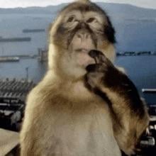 just had somebody say they will report me...