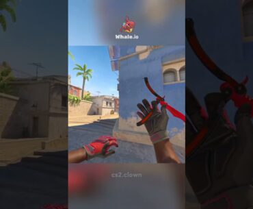 Perfect lineup from granny!