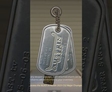 CS2's BEST Souvenir Charm