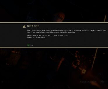 Bravo 381 Silver Wolf error message