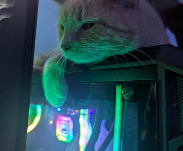 Look at him, actively removing my frames