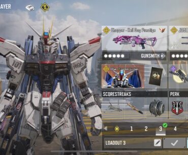 My Pinkish Loadout
