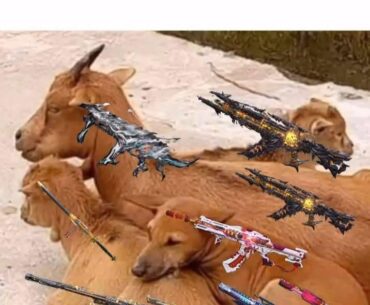 Me trying to fit in with my rich friends group in codm