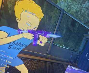 What gun is this?