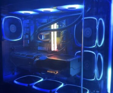 Update from my post like 5 days ago….she came! And she’s an absolute beauty!