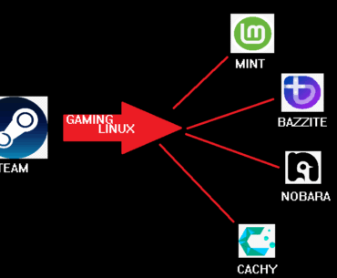 What is Valves long game in investing so much into Linux gaming?
