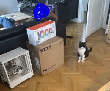 Doing a case swap. Wish me luck (ignore Albus)