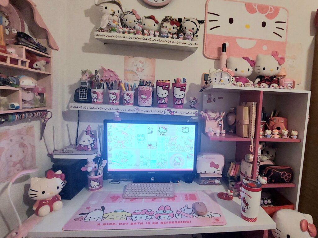 My kitty battle station :3