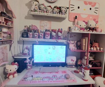 My kitty battle station :3