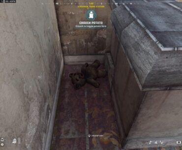 Found these on train station roof