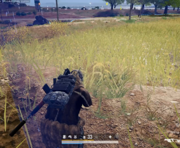 Chicken dinner!!