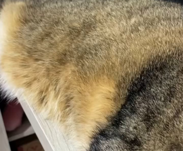 What would you do in this case?