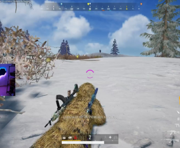 hold the position and chicken