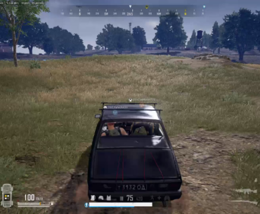 The tree stopped the BZ