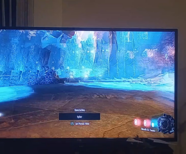 I died on revelations and got this rare glitch.