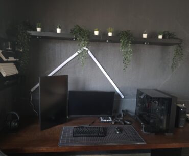 should I add more plants or something else to the setup?