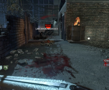 Killed by friendly fire?