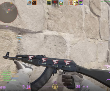 Teammate Ragdoll Bug