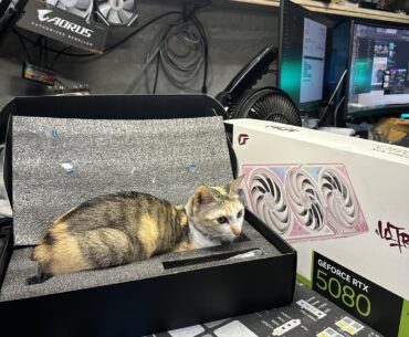 The GPU that came in the box seems off.  Should I return this?