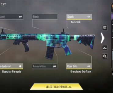 Are there any weapons for which you have all grindable/ unlockable camos, including the seasonal ones?