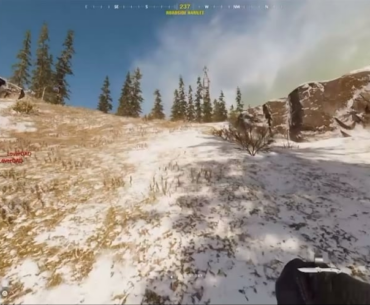 Anyone else get delightful teammates like this? [strong language warning]