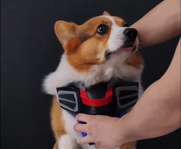 If K9 Unit/Clown class will have Gundam Epic skin in new season.