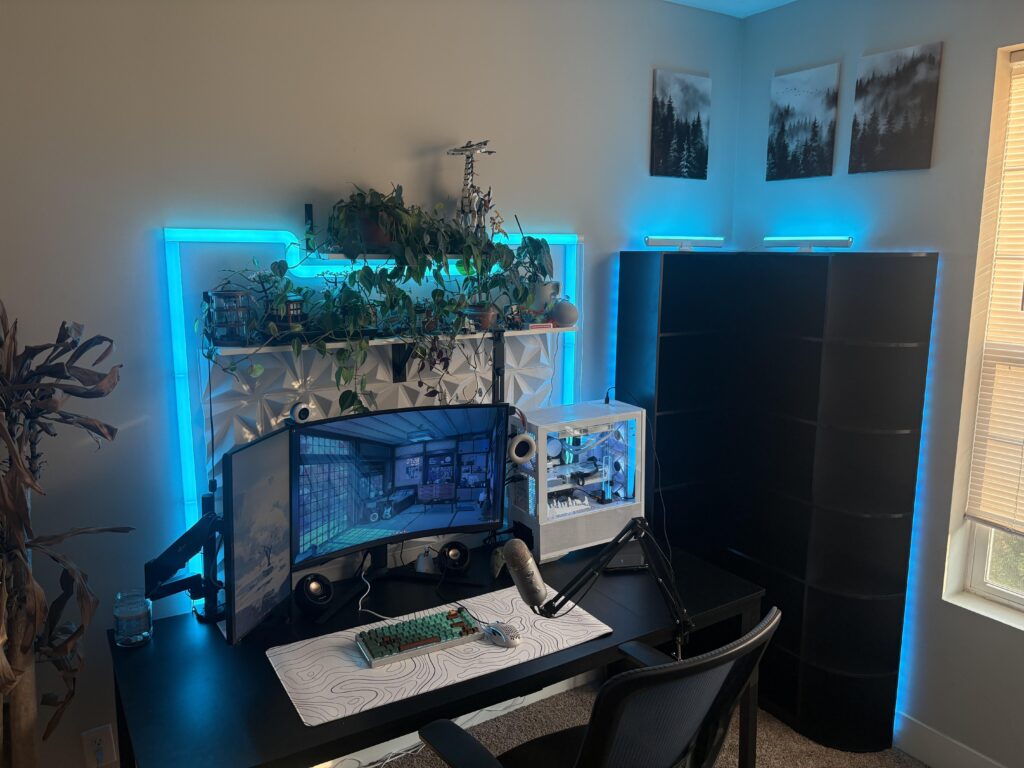 Got a new shelf, what should I fill it with?
