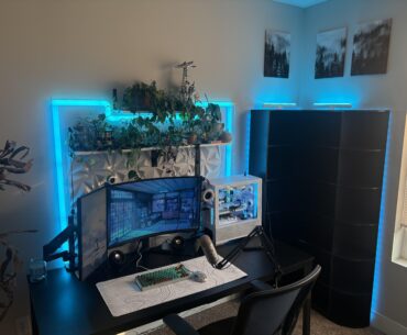 Got a new shelf, what should I fill it with?