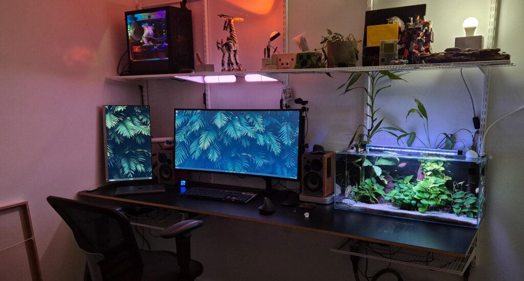 New room, new wfh setup