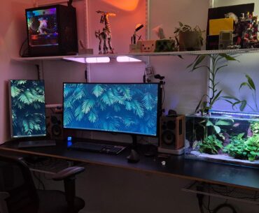New room, new wfh setup