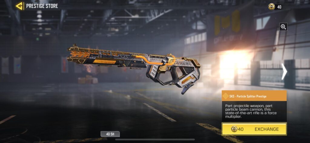 Is Sks worth getting? I mean is it a good marksman gun to use for MP or BR